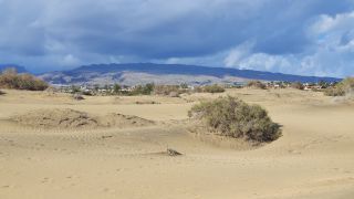 2023-GC--Mapalomas dunas-S123-071.jpg